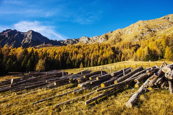 Jesień krajobraz w Aosta Valley 5 — Zdjęcie stockowe