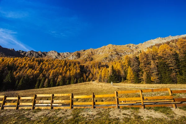 Осенний пейзаж в долине Аоста 6 — стоковое фото