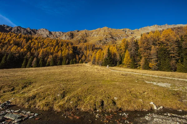 Осенний пейзаж в долине Аоста 7 — стоковое фото