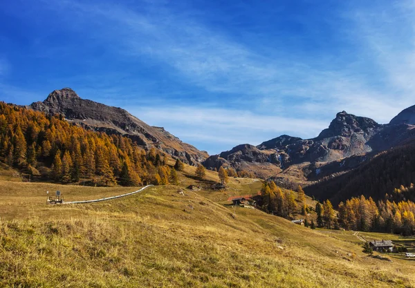 Herfst landschap in Aosta vallei 11 — Stockfoto