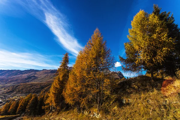 Autumn landscape in Aosta Valley 15 — Stock Photo, Image