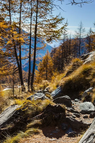 Herfst landschap in Valle d'Aosta — Stockfoto