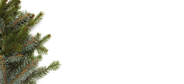 Blank Christmas card with pine needles — Stock Photo, Image