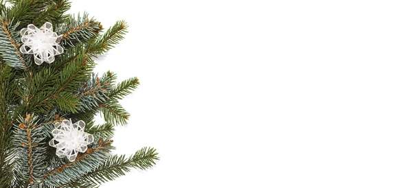 Blank Christmas card with pine needles and bows — Stock Photo, Image