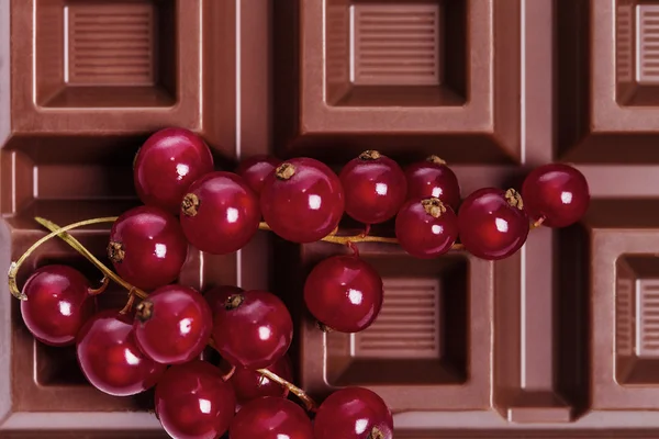 Vollmilchschokolade und rote Johannisbeeren — Stockfoto