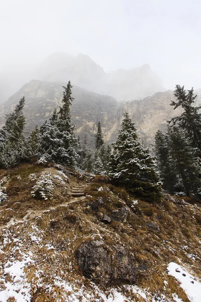 Hermoso treescape de invierno y niebla —  Fotos de Stock