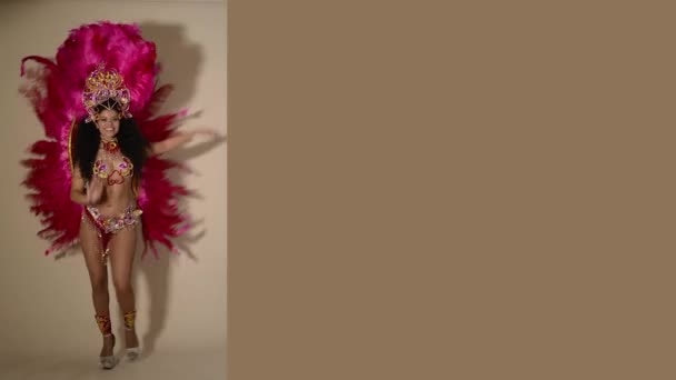 Samba dancer wearing pink costume with blank space — Stock Video