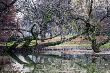 Milano Parco Sempione 'de kış tatili