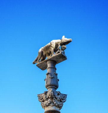 Capitoline kurt görünümü Siena, Toskana, İtalya