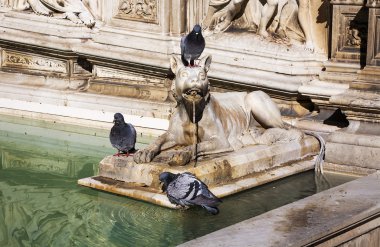 Fonte Gaia çeşme ayrıntı Siena, Toskana, İtalya