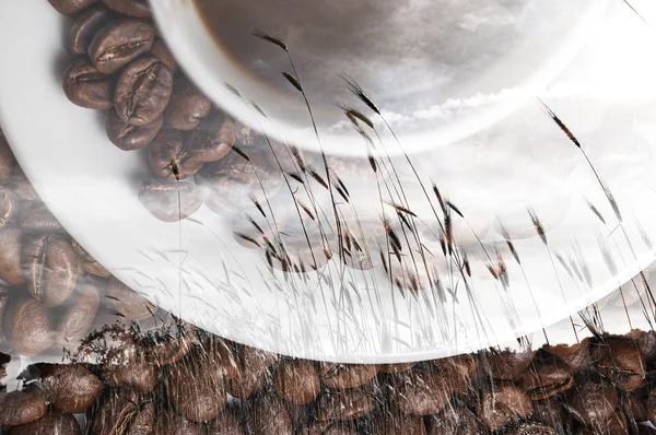 Doppelbelichtung von Kaffee und Weizenfeld — Stockfoto