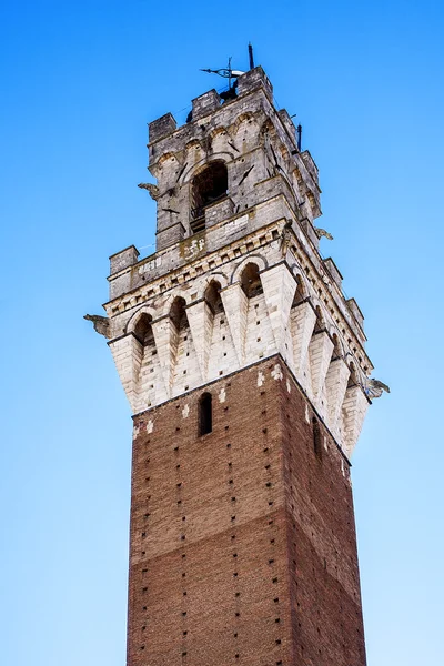 Torre Mangia em Siena, Toscana, Itália — Fotografia de Stock