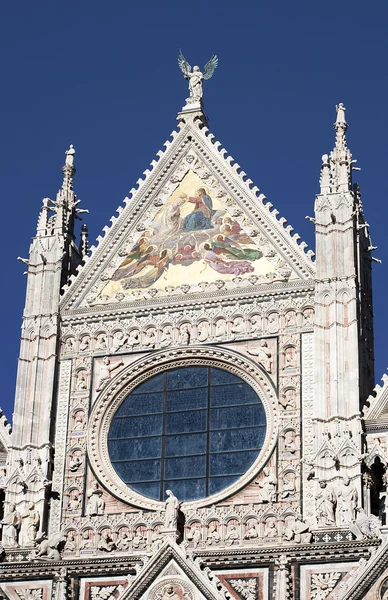 Siena Cathedral in Tuscany, Italy — Stock Photo, Image