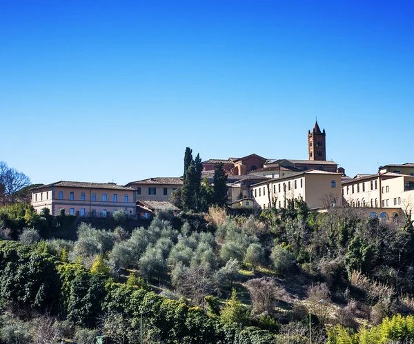 Siena distant glimpse in sunny Winter day — Stock Photo, Image