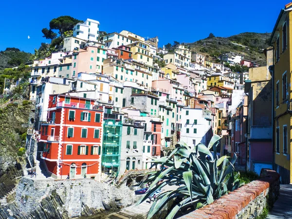 Colorful Cinque Terre glimpse in Liguria, Italy — Stock Photo, Image