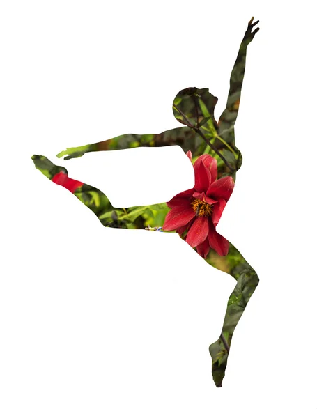 Double exposure of classical dancer and beautiful red flower — Stock Photo, Image