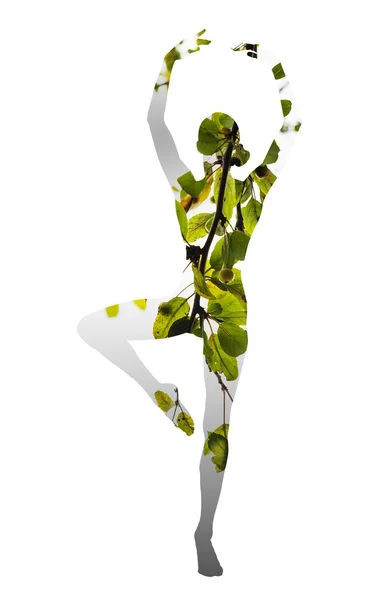Dubbele blootstelling van klassieke danseres en groene bladeren — Stockfoto