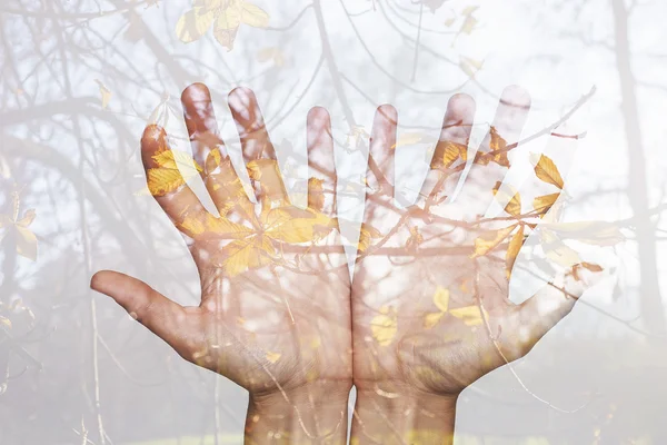 Dupla exposição de mãos abertas e folhas de outono — Fotografia de Stock