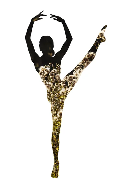 Dubbel exponering av klassisk dansare och berg blommor — Stockfoto