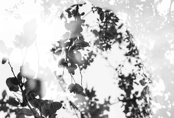 Double exposure of girl with gorgeous eyes and leaves — Stockfoto