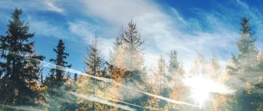 Double exposure of autumnal treescape and cloudscape letterbox clipart