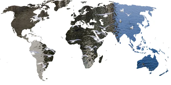 Dupla exposição do mapa mundial e gaivotas voando — Fotografia de Stock