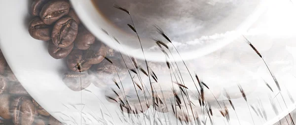 Double exposure of cup of coffee and wheat field letterbox — Stock Photo, Image
