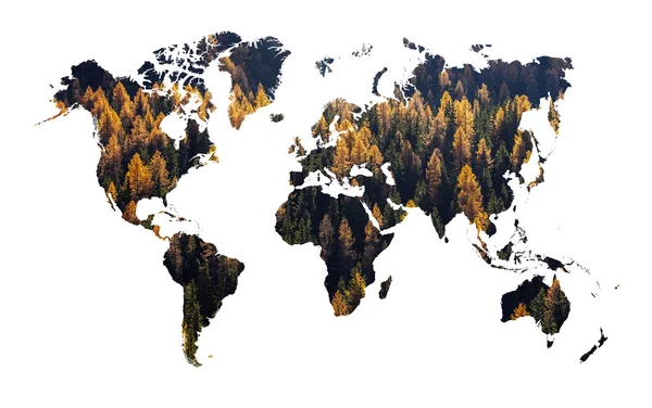 Double exposure of world map silhouette and autumn wood — Stock Photo, Image