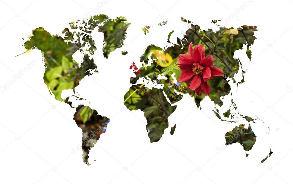 Double exposure of world map silhouette and red flower