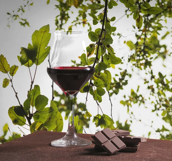 Bicchiere di vino rosso e cioccolato con foglie verdi — Foto Stock