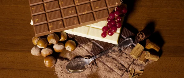 Chocolade bar assortiment met hazelnoot, aalbes en kaneel — Stockfoto