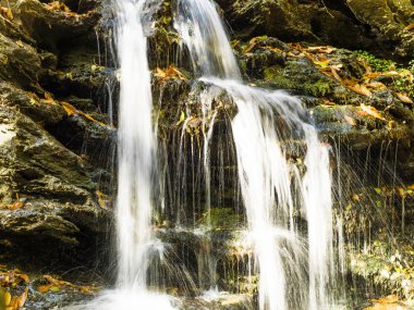 Sonbaharın güzel şelaleler