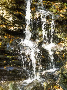 Muhteşem şelaleler Güz