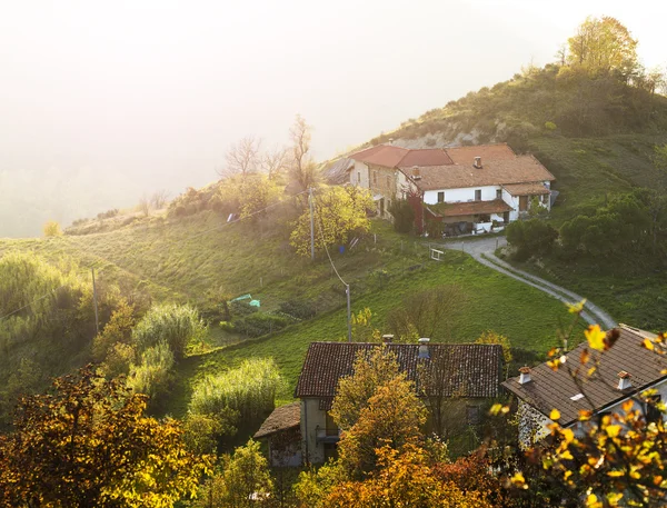 Beautiful houses seen from above in autumn — Stock Photo, Image