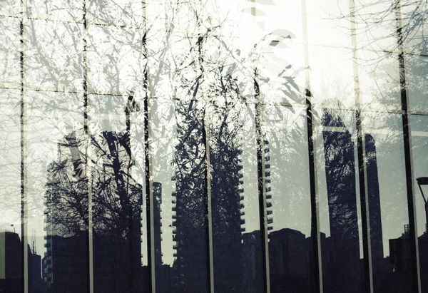 Double exposure of cityscape and autumn leaves and tree branches — Stock Photo, Image