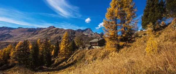 Beautiful autumn mountain landscape letterbox — Stock Photo, Image