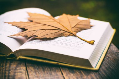 Açık kitap üzerine sarı yaprak