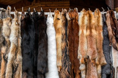 Furs for sale clipart