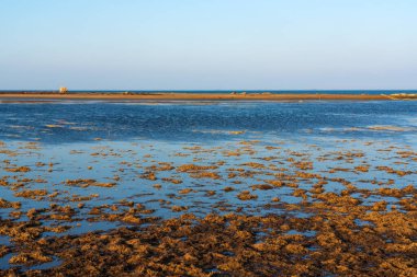 Deniz kıyısında gelgit
