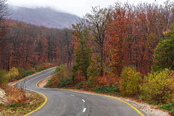 Carretera Sinuosa Bosque Montañoso Otoño — Foto de Stock