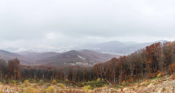Utsikt Över Höstskogen Från Toppen Berget — Stockfoto