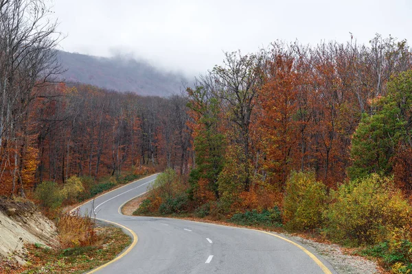 Carretera Sinuosa Bosque Montañoso Otoño — Foto de Stock