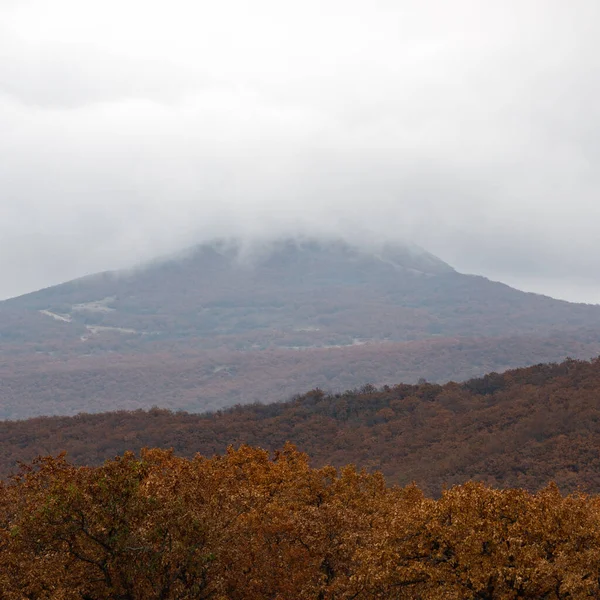 Berggipfel Ist Nebel Mit Herbstwald Bedeckt — Stockfoto