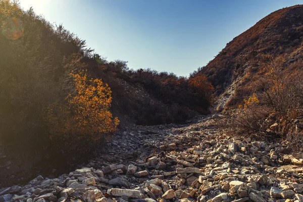 Dağ Nehrinin Kuru Yatağı — Stok fotoğraf