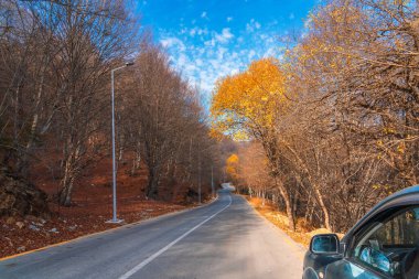 Sonbahar dağ ormanlarında dolambaçlı bir yol