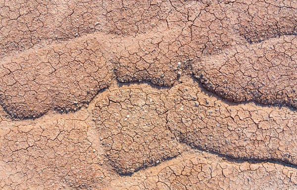 Dry Barren Cracked Soil Background — Stock Photo, Image