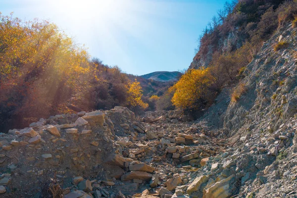 Dağ Nehrinin Kuru Yatağı — Stok fotoğraf