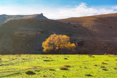 Dağlarda parlak renkli bir sonbahar.