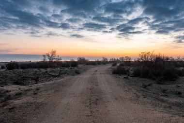 Vahşi doğadaki kirli yol.
