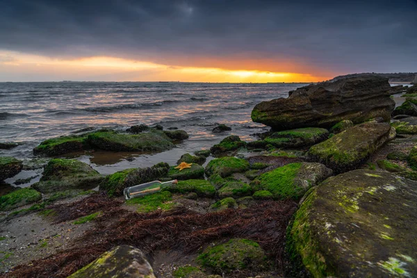 Bericht Een Fles Een Rots Bedekt Met Groene Algen Vragen — Stockfoto